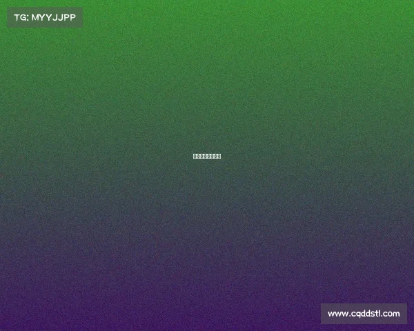 世界顶尖格斗赛事