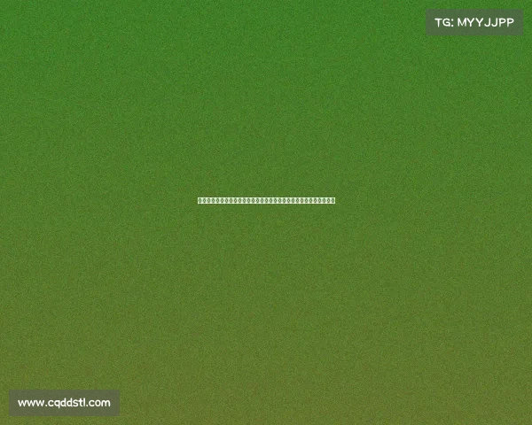 二〇二四年中国篮球协会总决赛赛事安排全攻略赛程时间地点对阵详解