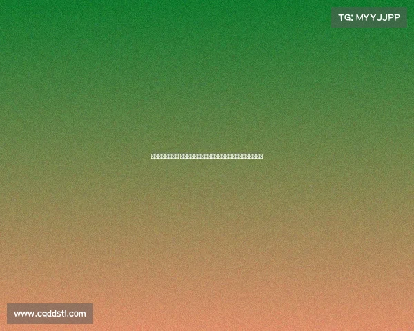 棋类国际赛事流程,棋类国际赛事全流程深度解析从筹备到实施的完整指南