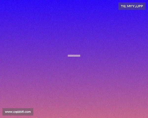 石家庄今日赛事有哪些